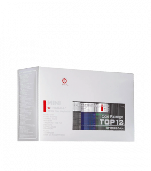 FIREBALL TOP 12 MINI Care Package Set als Autopflege Set Geschenk
